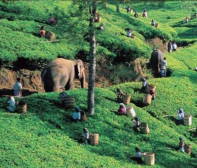 about sri lanka
