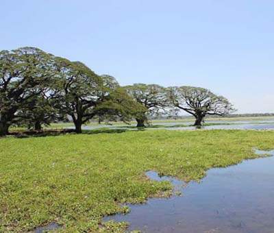 about sri lanka